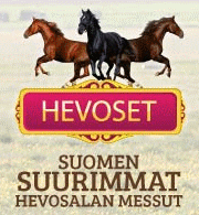 HORSES - HEVOSET